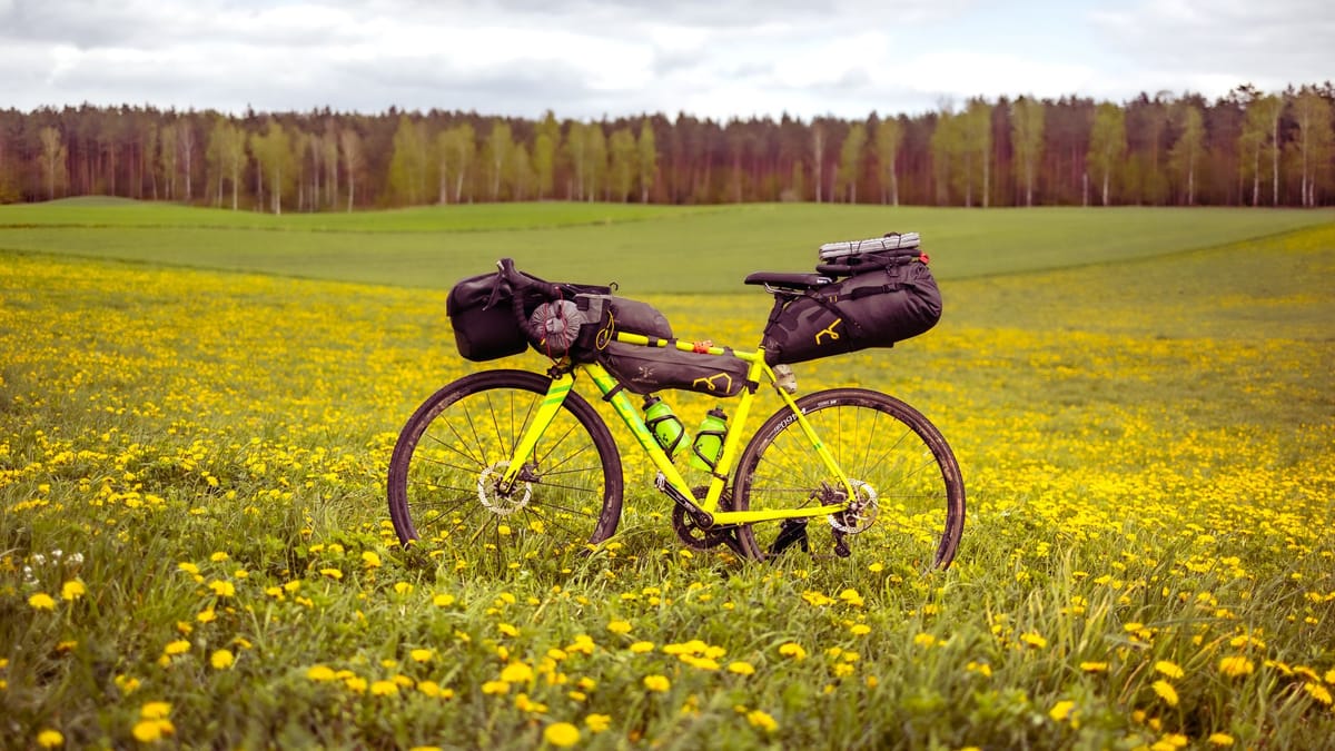 Vélo de bikepacking chargé de sacoches de guidon, de cadre et de selle, posé dans un champ de pissenlits en fleurs